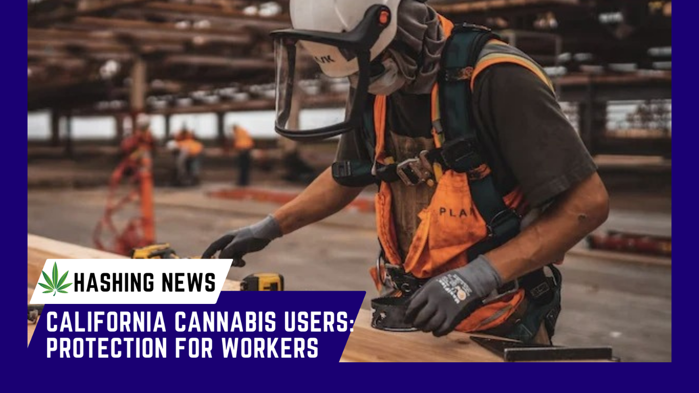 California got it! Cannabis-user employees protected against penalization
