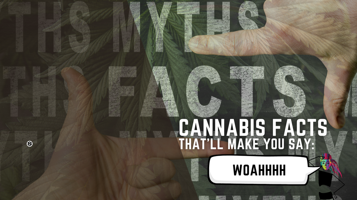 Cannabis Facts That'll Make You Go "Whoa!"