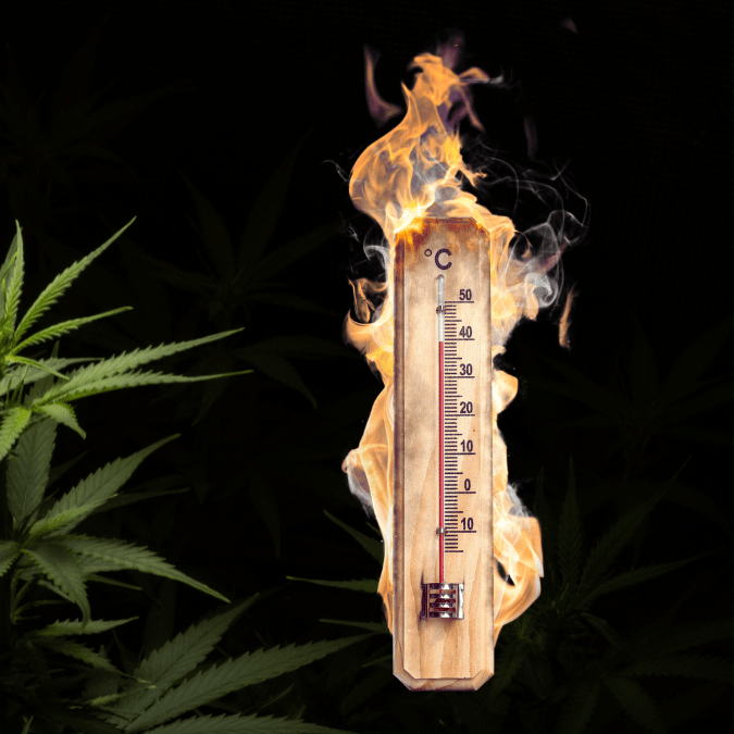 Step 2: Select Your Temperature