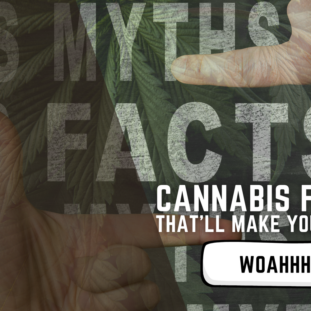Cannabis Facts That'll Make You Go "Whoa!"