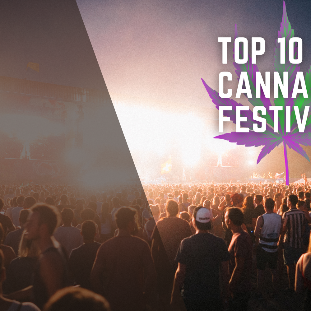 Your Top 10 Cannabis Festivals to Hit Up in 2025