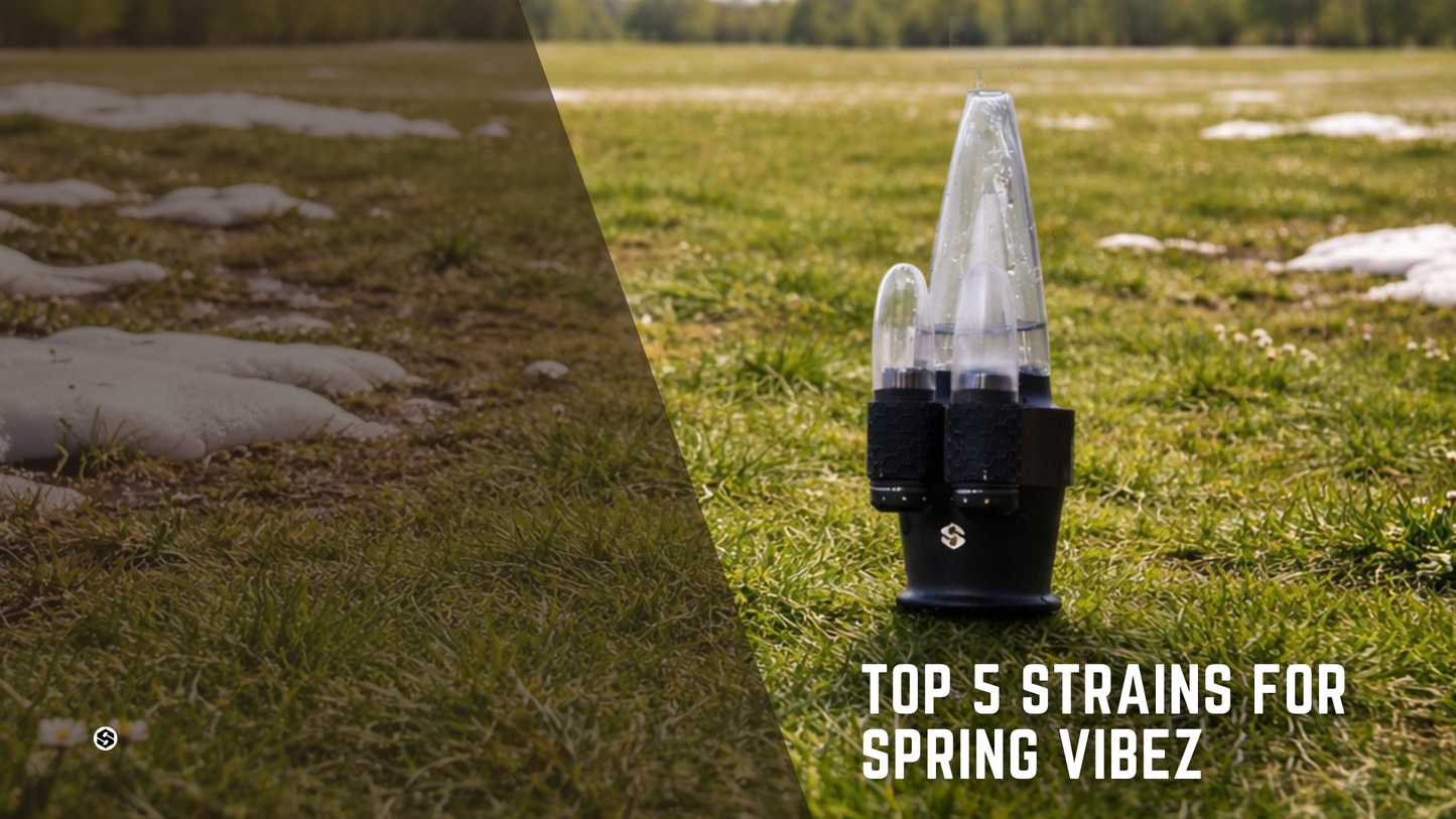 Top 5 Cannabis Strains for Spring