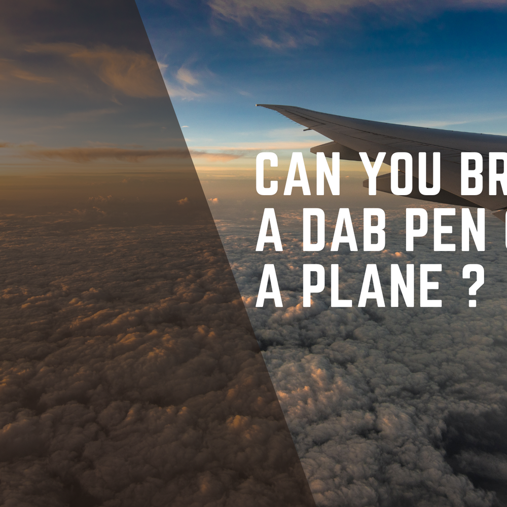 Can I bring my Dab Pen on a plane?