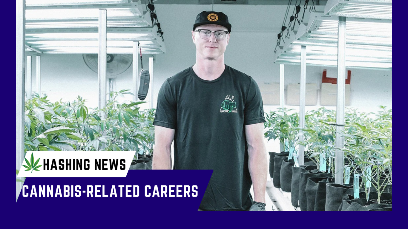 Cannabis-related careers