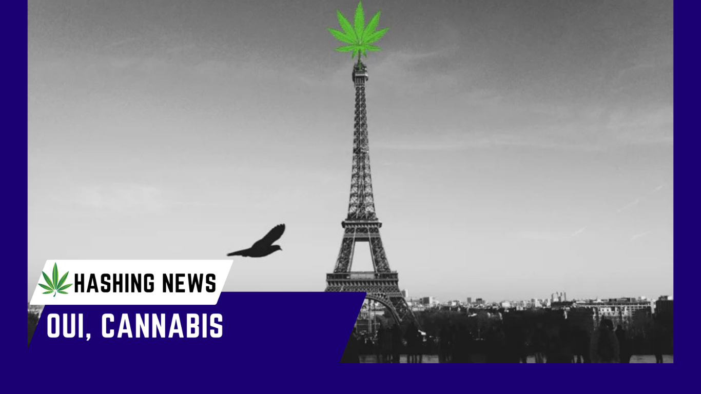 Oui Cannabis