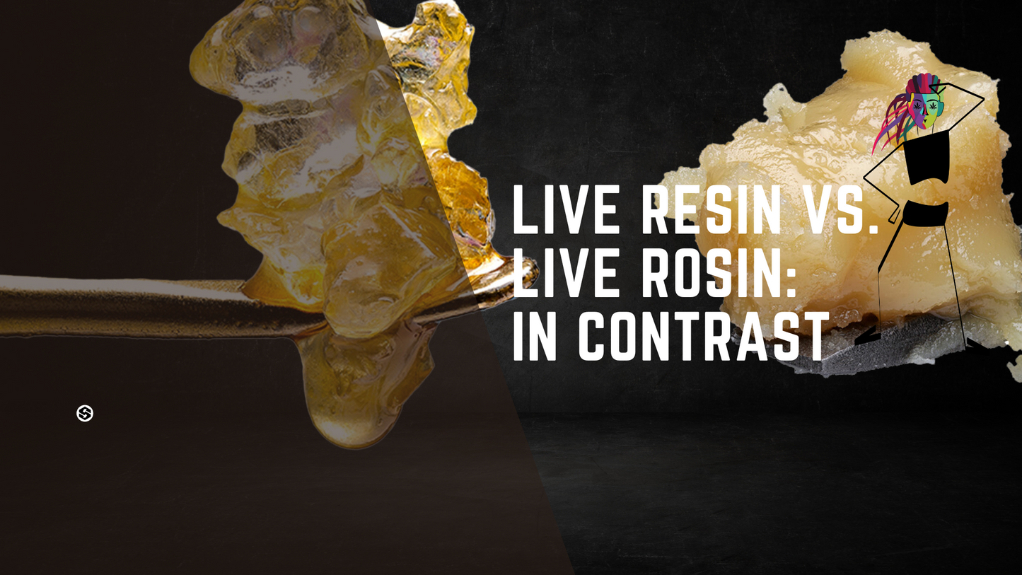 Live Resin Vs. Live Rosin: In Contrast.