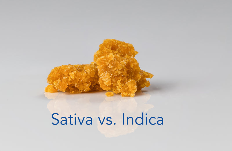 How to choose Sativa vs. Indica for a vape pen