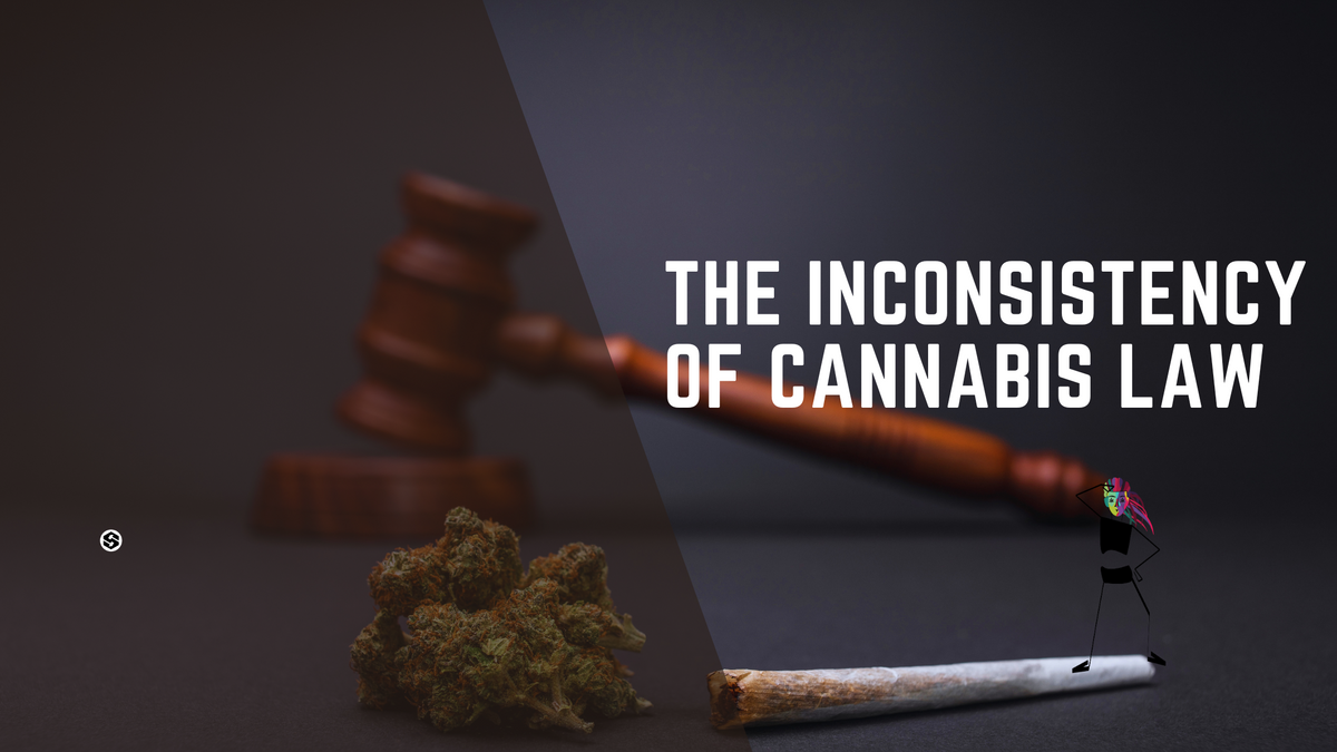 The Inconsistency of Cannabis Law: Worldwide – Stonesmiths'